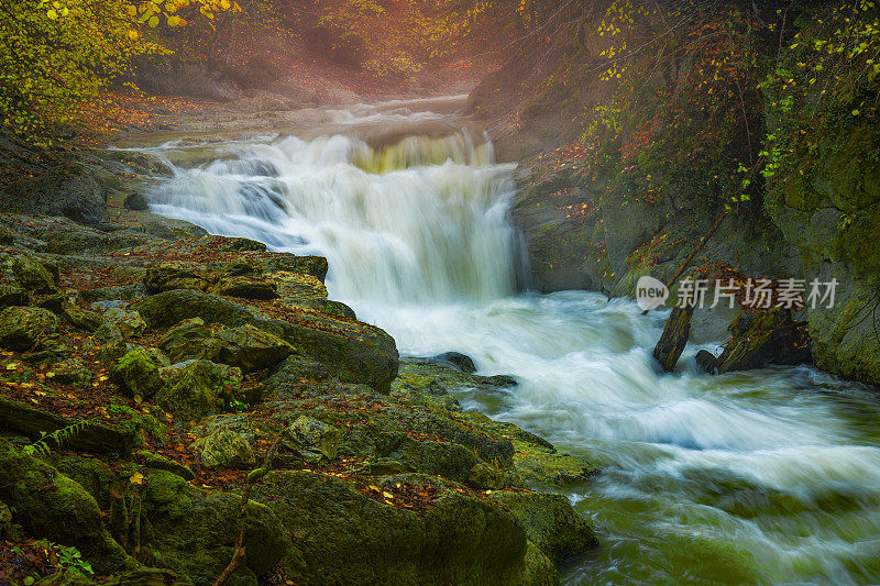 Irati forest，潘普洛纳，纳瓦拉，西班牙。